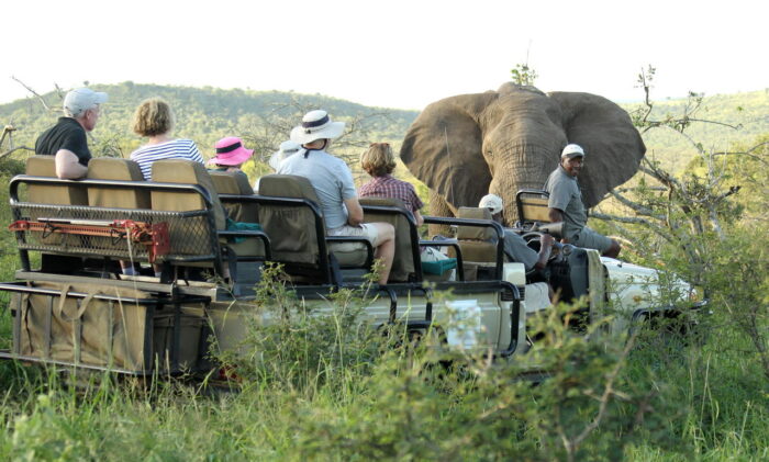 Cedarberg Travel | Amakhosi Safari Lodge