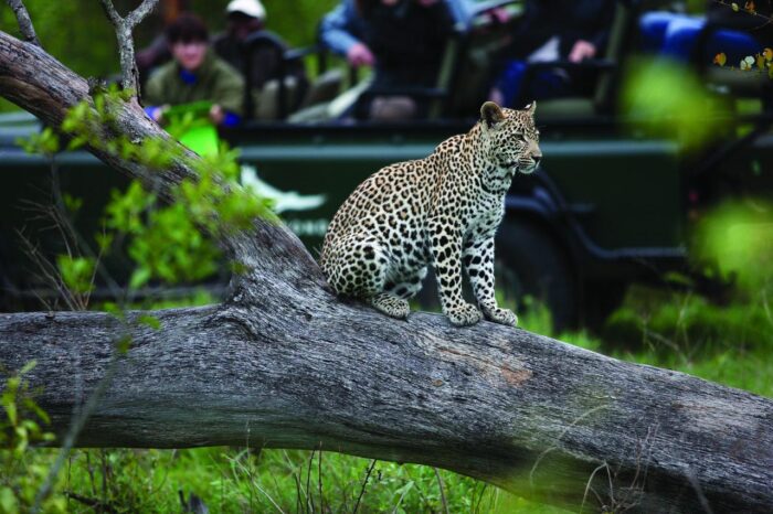 Cedarberg Travel | andBeyond Tengile River Lodge