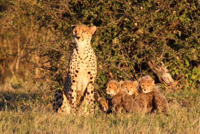 Cedarberg Travel | Camelthorn Lodge