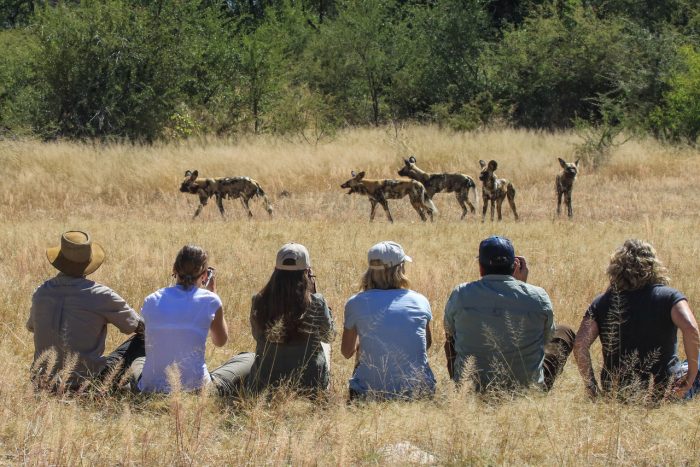 Cedarberg Travel | Camelthorn Lodge