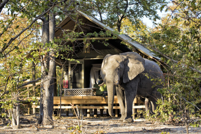 Cedarberg Travel | Hyena Pan Tented Camp