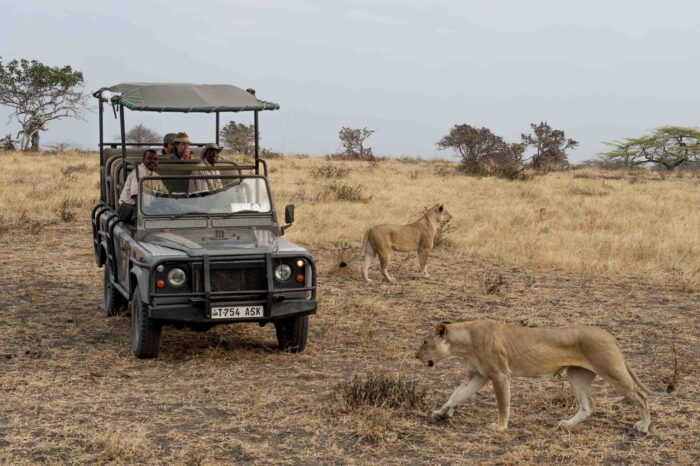 Cedarberg Travel | Lake Manze Tented Camp