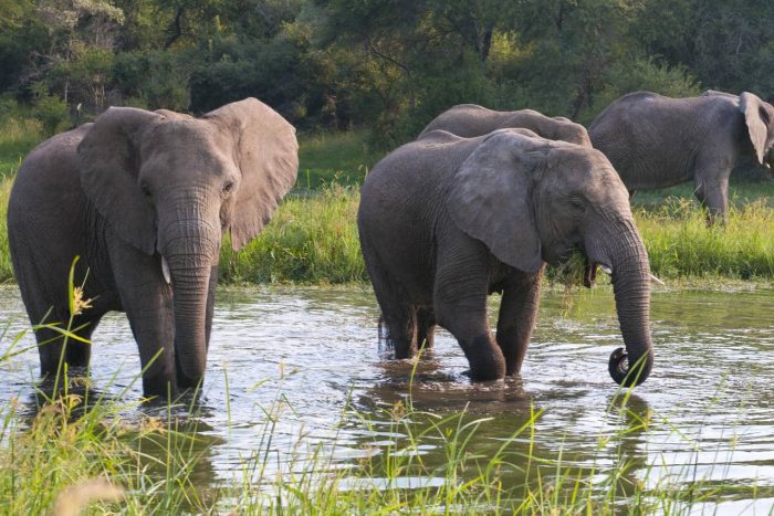 Cedarberg Travel | Bomani Tented Lodge