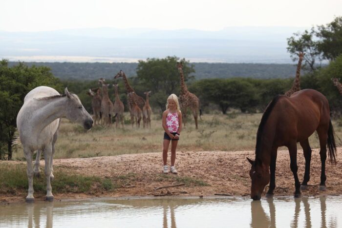 Cedarberg Travel | Ant's Nest