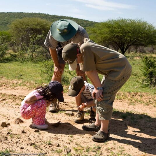 Cedarberg Travel | Ant's Nest