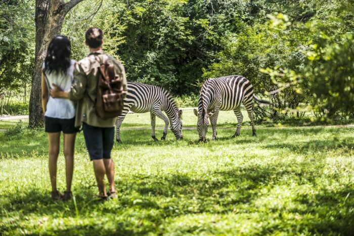 Cedarberg Travel | Avani Victoria Falls Resort