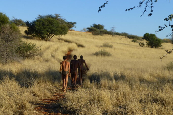 Cedarberg Travel | Bagatelle Kalahari Game Ranch