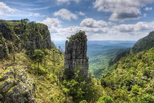 Crazy about coffee? Try these 5 coffee shops in Cape Town in 2025