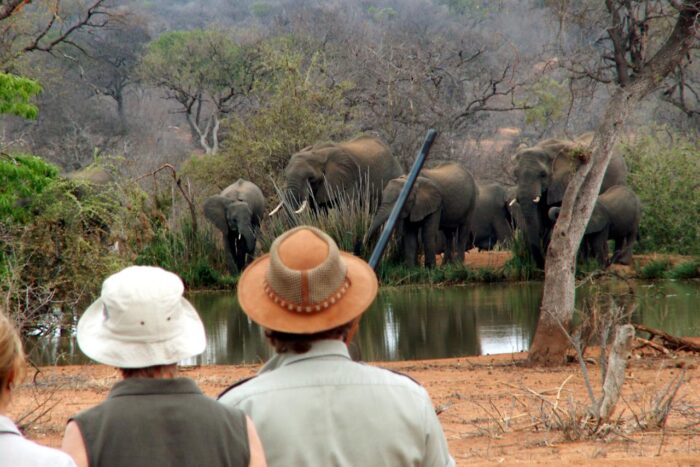 Cedarberg Travel | Mohlabetsi Safari Lodge