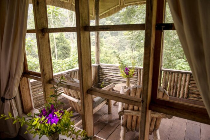 Cedarberg Travel | Volcanoes Bwindi Lodge