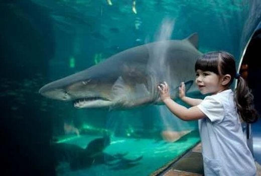 10 Romantic Hotels in Cape Town and the Winelands you ought to visit