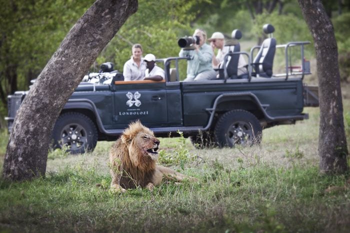 photography-safari-Christine Lambert Star Safari-700