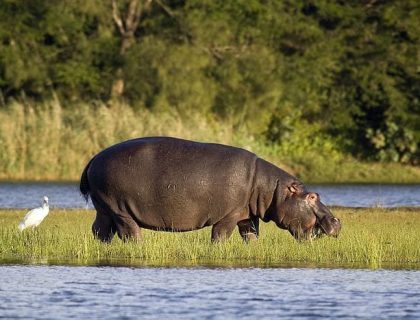Which is better – Knysna or Plettenberg Bay? Here’s the lowdown