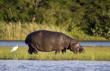 The 10 Best Sleep-Outs or Star Beds in South Africa in 2025/26