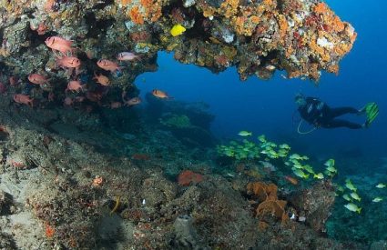 Namibia Fly-In with Skeleton Coast