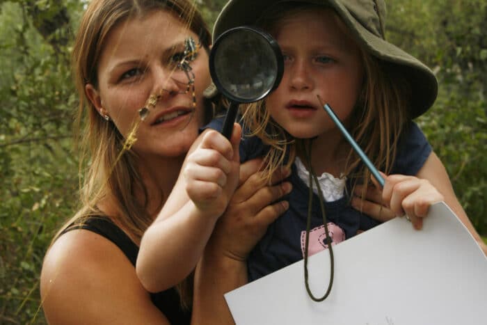 Cedarberg Travel | Londolozi Varty Camp