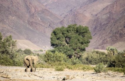Namibia Fly-In with Skeleton Coast