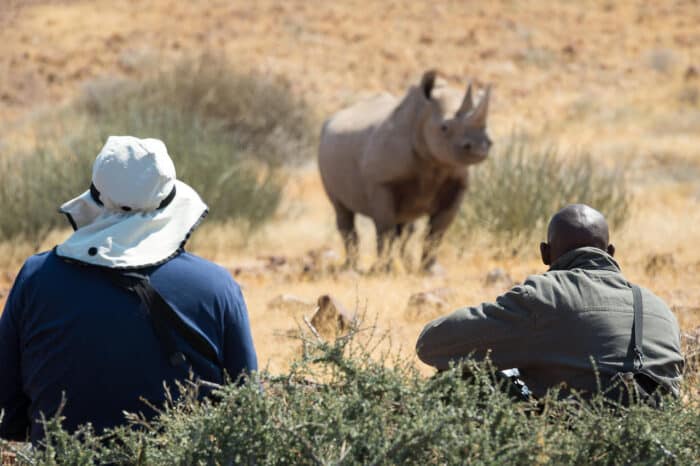 Cedarberg Travel | Desert Rhino Camp