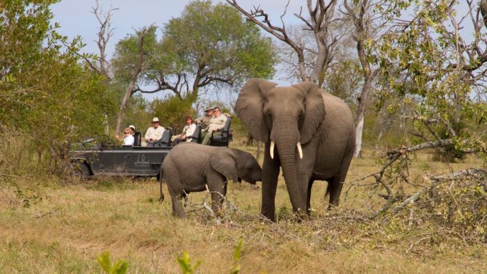 Cedarberg Travel | Dulini Moya Lodge