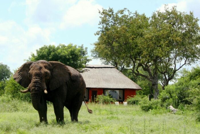 Cedarberg Travel | Mohlabetsi Safari Lodge