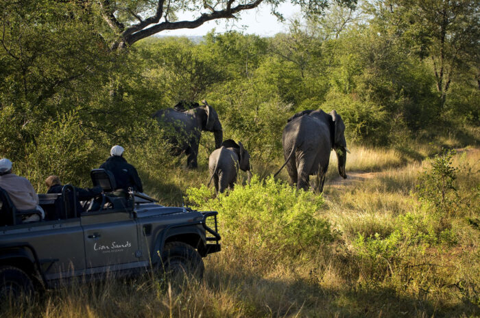 Cedarberg Travel | Lion Sands Tinga Lodge