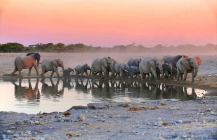 Namibia Fly-In with Skeleton Coast