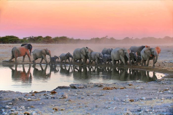 Etosha-waterhole-sunset-Namibia-700