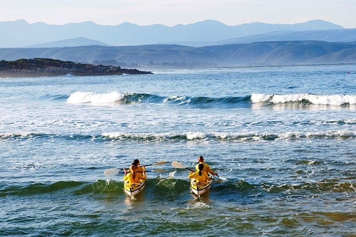 Guided Sea kayaking in Plettenberg Bay