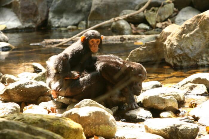 Cedarberg Travel | Mbali Mbali Gombe