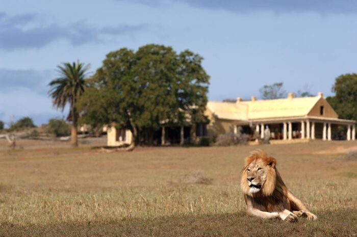 Cedarberg Travel | Gorah Elephant Camp