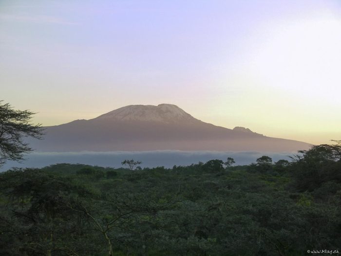 Cedarberg Travel | Hatari Lodge