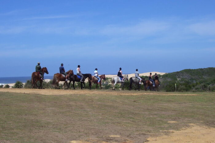 Cedarberg Travel | Oyster Bay Lodge