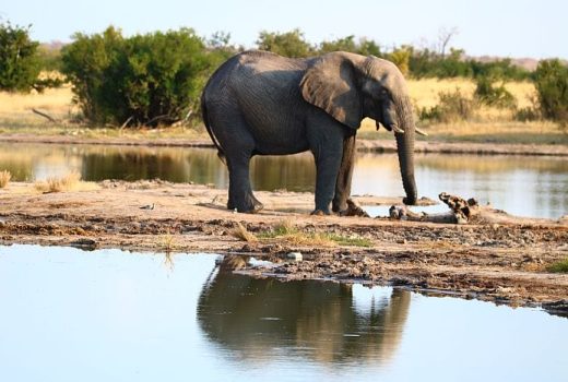 Cedarberg Africa ’s Best Spa Retreats in Southern Africa