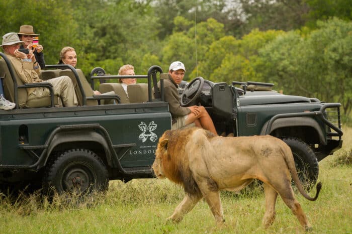 Cedarberg Travel | Londolozi Varty Camp