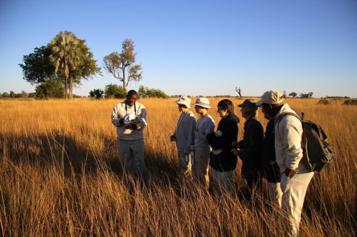 Cedarberg Travel | Camp Okavango