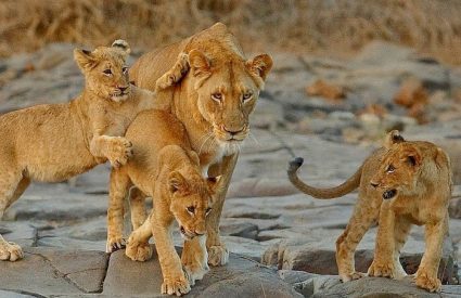 Namibia Fly-In with Skeleton Coast