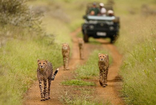 Where to go in Africa in November, December and January