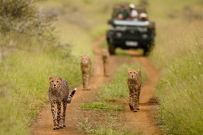 KwaZulu Natal Safari Lodges