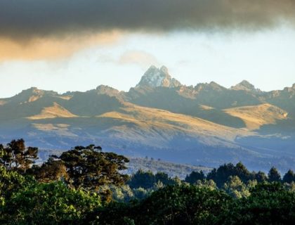 The cost of a safari in Kenya in 2025?