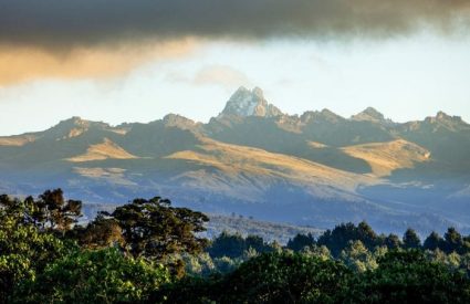 Tips for Flower Viewing in Namaqualand, the Cederberg & West Coast in 2025