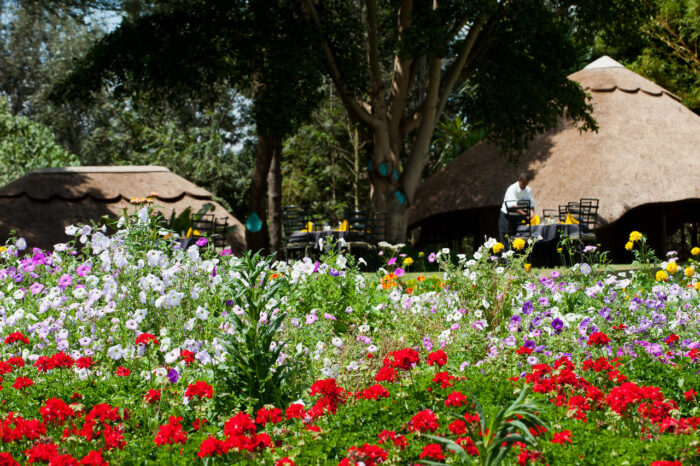 Cedarberg Travel | Ngorongoro Farm House