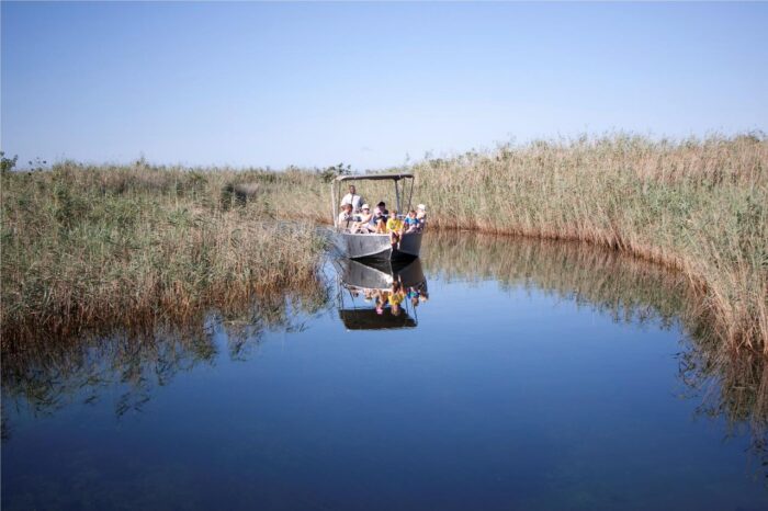 Cedarberg Travel | Kosi Forest Lodge