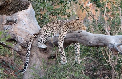 Namibia Fly-In with Skeleton Coast