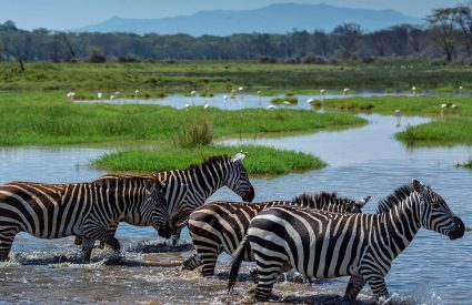 Family-friendly game lodges: Different lodges for younger & older children