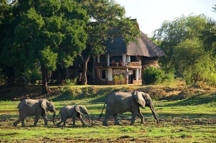 Cedarberg Travel | Luangwa Safari House