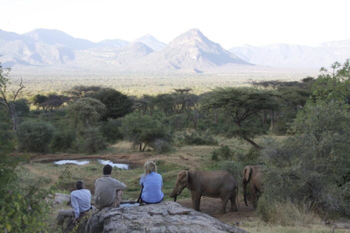 Cedarberg Travel | Sarara Camp