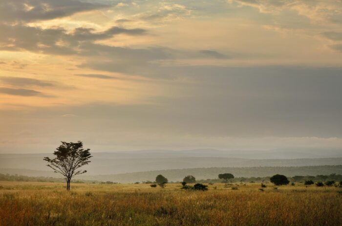 Cedarberg Travel | Makweti Safari Lodge