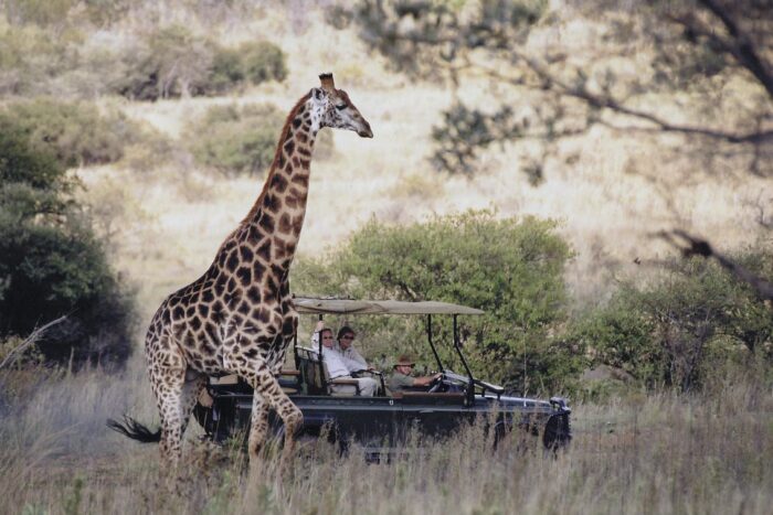 Cedarberg Travel | Makweti Safari Lodge