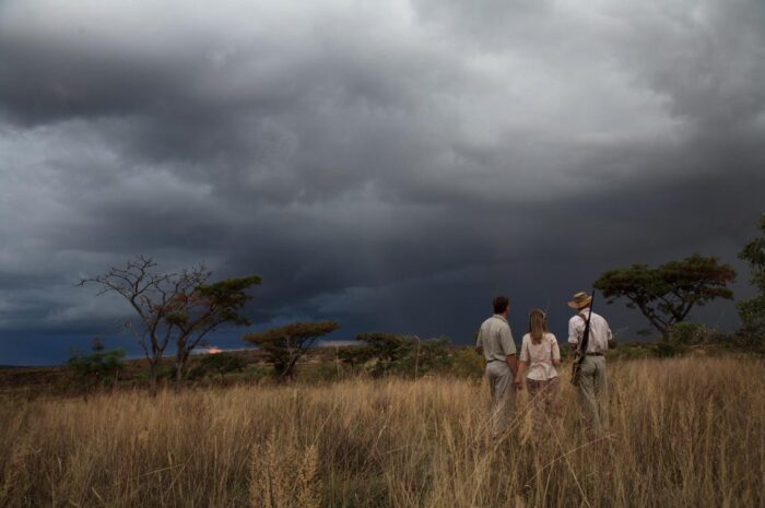 Cedarberg Travel | Makweti Safari Lodge