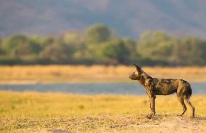 Namibia Fly-In with Skeleton Coast